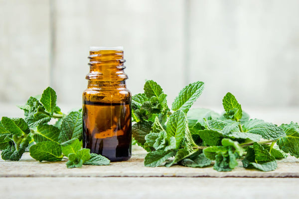 Top 5 Peppermint Oil Uses